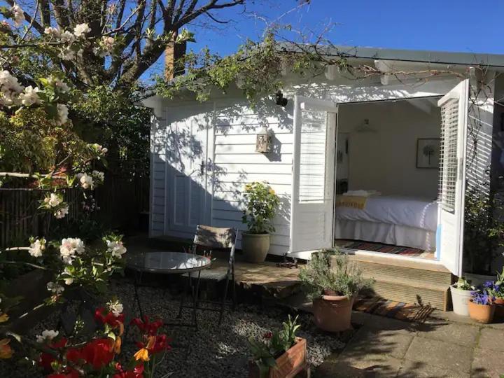 Garden Studio Кранбрук Экстерьер фото